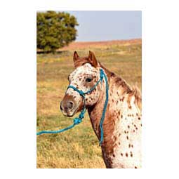 Economy Rope Halter w/Lead Teal/Black - Item # 41974
