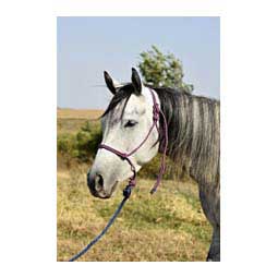 Economy Rope Halter w/Lead Red/Navy/Baby Blue - Item # 41974