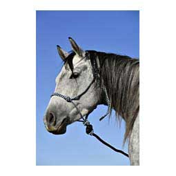Economy Rope Halter with Lead Black/Turquoise/White - Item # 41974