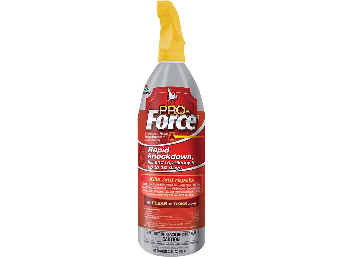 Pro Force Fly Spray For Horses Manna Pro Fly Sprays Repellents Fly Control Equine Pro Force Fly Spray For Horses Manna Pro Fly Sprays Repellents Fly Control Equine