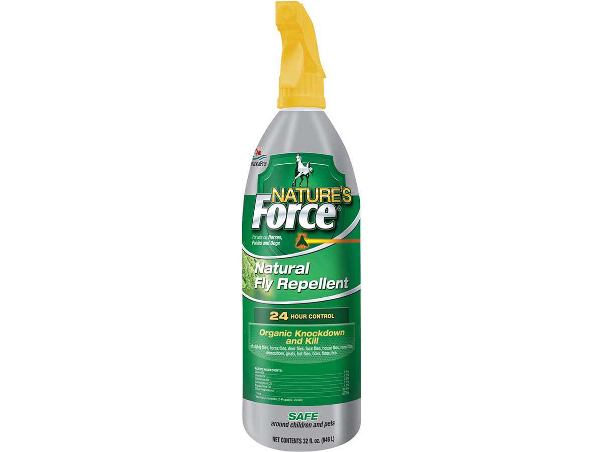 Homemade fly spray deals for dogs