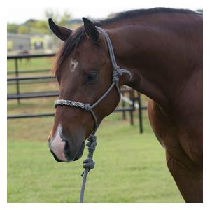 Beaded Rope Halter with 10-ft Matching Lead Charcoal - Item # 42176