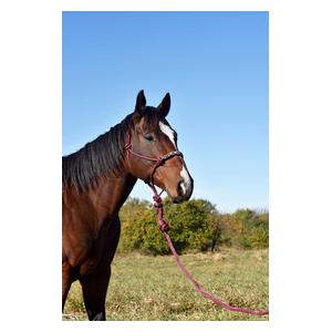 Beaded Rope Halter with 10-ft Matching Lead Burgundy - Item # 42176