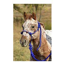 Beaded Rope Halter Royal - Item # 42176
