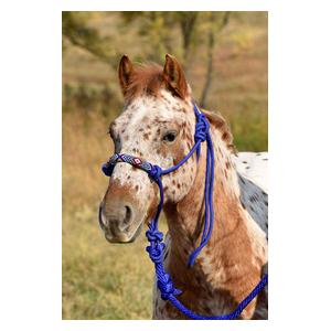 Beaded Rope Halter with 10-ft Matching Lead Royal - Item # 42176