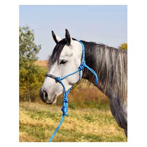 Beaded Rope Halter with 10-ft Matching Lead Turquoise - Item # 42176
