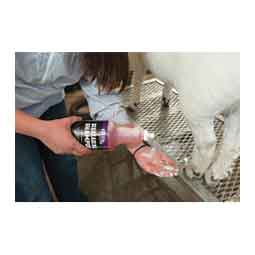 Degreasing Shampoo for Livestock 1 quart - Item # 42189