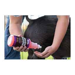 Degreasing Shampoo for Livestock 1 quart - Item # 42189