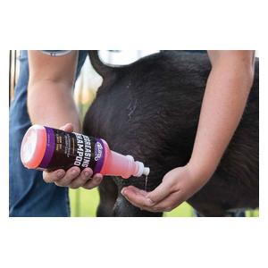 Degreasing Shampoo for Livestock 1 quart - Item # 42189