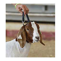 Brahma Webb Goat Collar - Regular Chain Black - Item # 42198