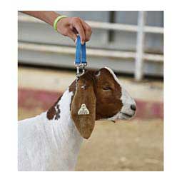 Brahma Webb Goat Collar - Regular Chain Hurricane Blue - Item # 42198