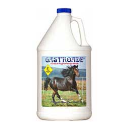 Gastroade for Horses