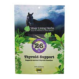 26 Thyroid Support Herbal Formula for Horses 1 lb (120 days) - Item # 42307