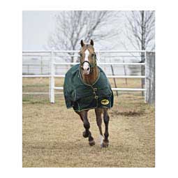 Medium Weight Turnout Horse Blanket Hunter/Tan - Item # 42322