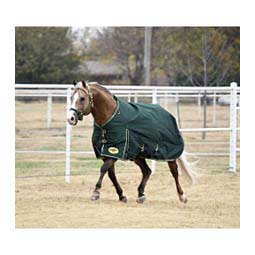 Medium Weight Turnout Horse Blanket Hunter/Tan - Item # 42322