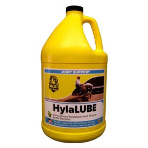 HylaLUBE Concentrated Hyaluronic Acid for Horses 1 gallon - Item # 42430