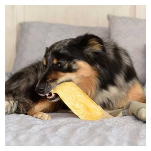 Pro Plan Dental Chewz Dog Treats 5 oz - Item # 42538