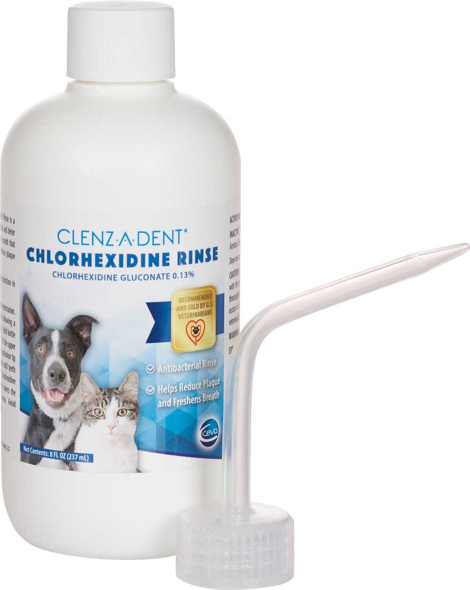 Cat Chlorhexidine Mouthwash For Dogs Oticbliss™ Anti-Bacterial