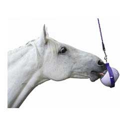 Likit Boredom Buster Equine Toy Purple - Item # 42725