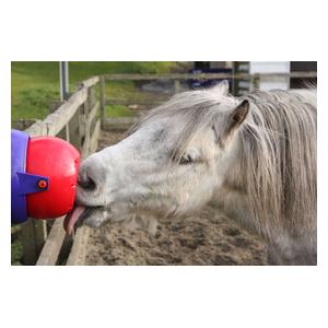 Likit Tongue Twister Equine Toy Red - Item # 42727