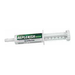 Sullivan's Show Road Replenish Electrolyte Paste 60 cc - Item # 42731