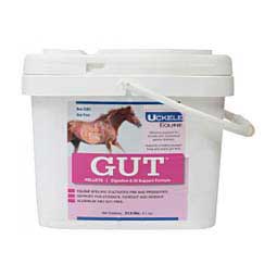 GUT Digestive & G.I. Support Pellets for Horses 13.5 lb (150-300 days) - Item # 42786