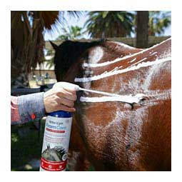 Vetericyn Foam Care Spray On Equine Medicated Shampoo 32 oz - Item # 42916