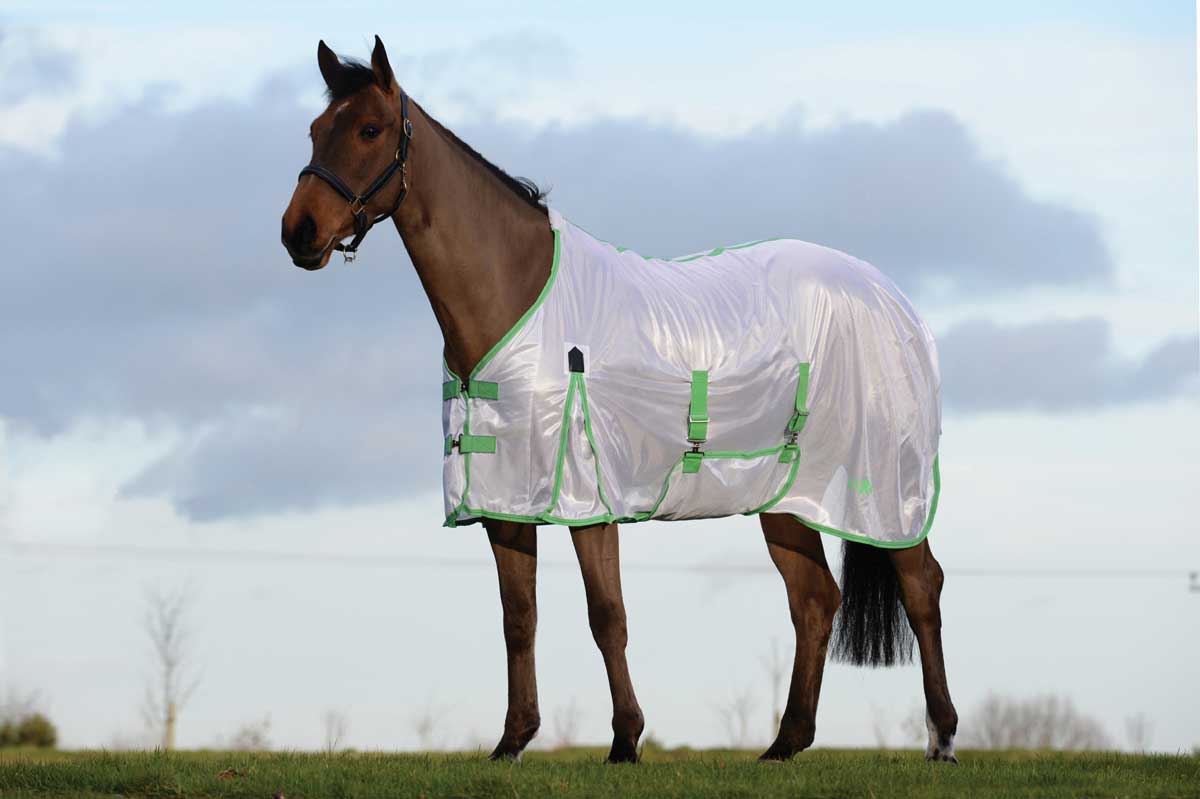 Solid Saxon Horse Fly Sheet w/Gusset Standard Neck Saxon Fly Sheets