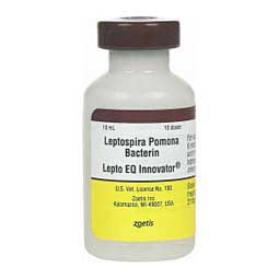 Lepto EQ Innovator (Leptospira Pomona) Equine Vaccine 10 ds vial - Item # 43299