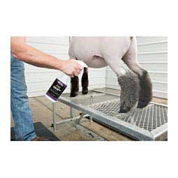 ProHair 100 Hair Growth for Livestock 1 quart - Item # 43300
