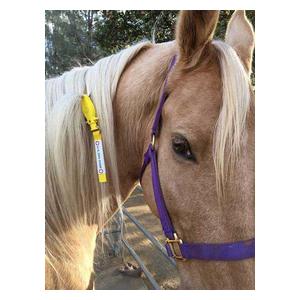 I.C.E. ManeStay Equine Emergency ID Yellow - Item # 43470