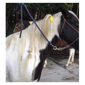 I.C.E. ManeStay Equine Emergency ID Yellow - Item # 43470