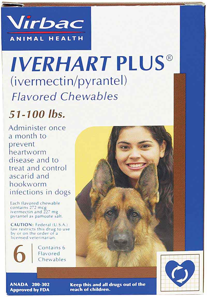 Iverhart Plus For Dogs Virbac Safe Pharmacy Heartworm Prevention 