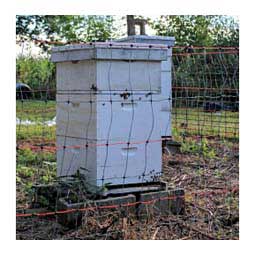 Bee Hive & Bear Net 50 ft x 46 in - Item # 43584
