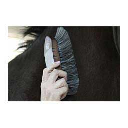 Wood Handled Horsehair Horse Grooming Brush L - Item # 43622