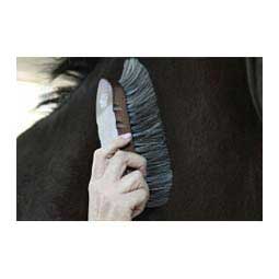Wood Handled Horsehair Horse Grooming Brush Large - Item # 43622