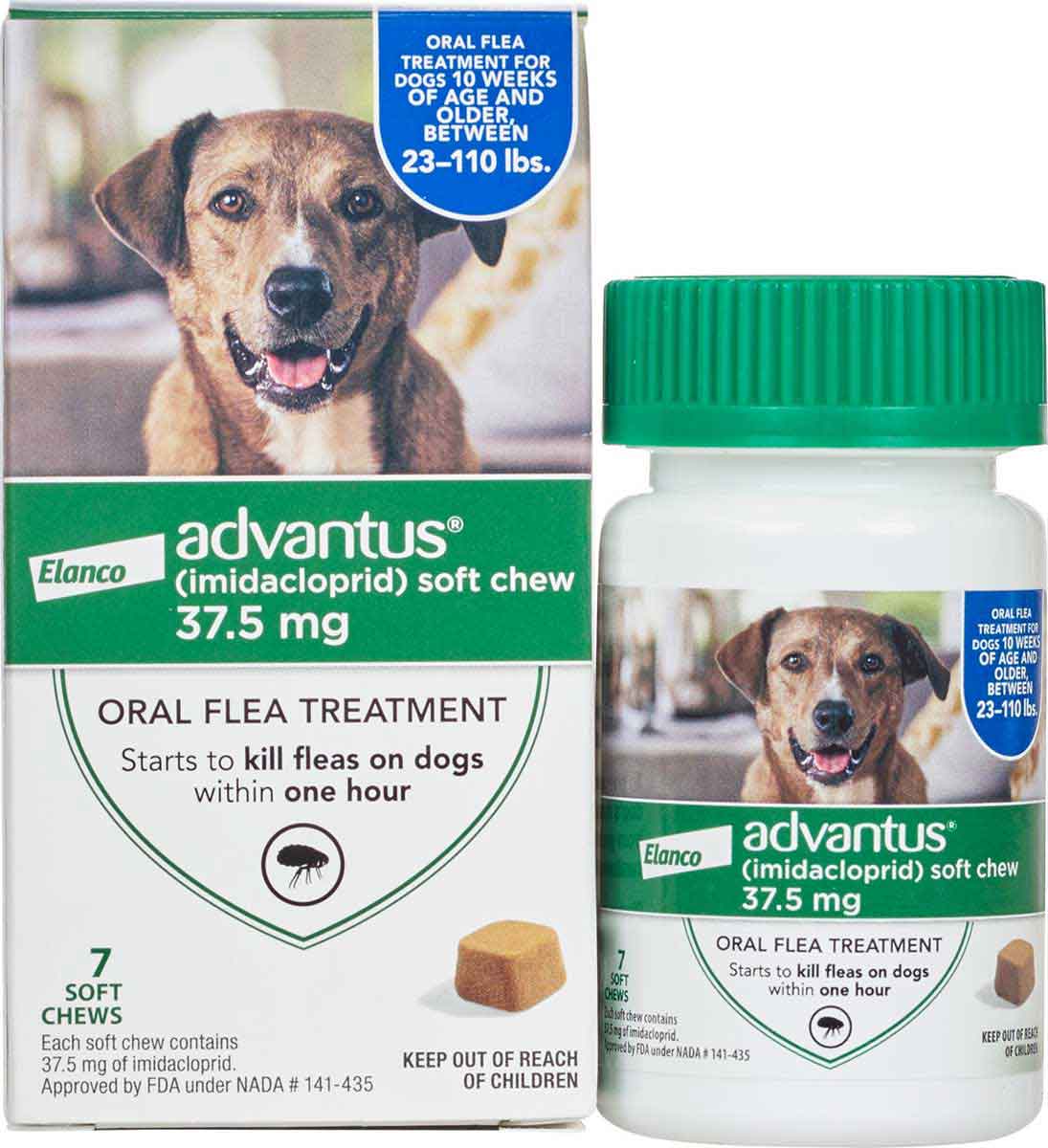 bayer advantus oral flea treatment