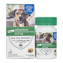 Advantus Imidacloprid Soft Chews Oral Flea Treatment for Dogs 7 ct (37.5 mg 23-110 lbs) - Item # 43757