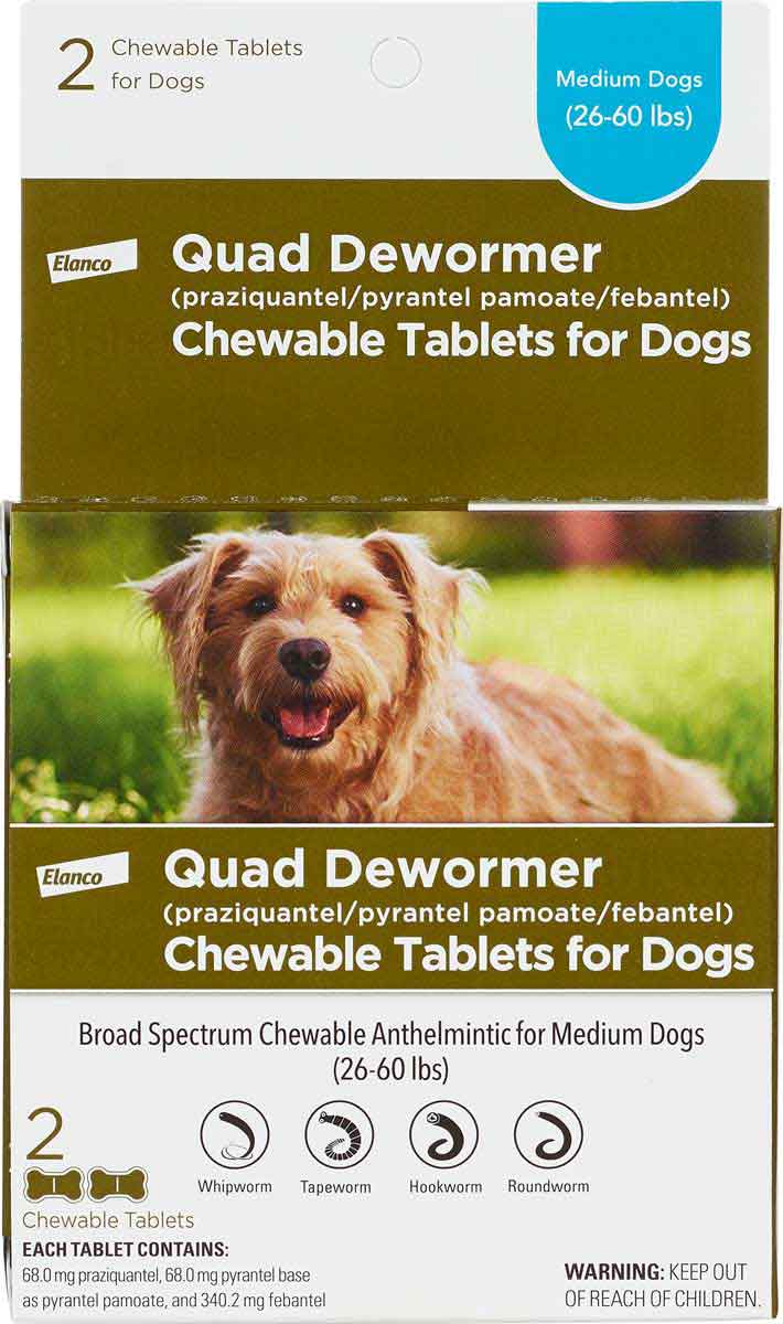 Quad Dewormer Chewables for Dogs Elanco Animal Health - Dewormers