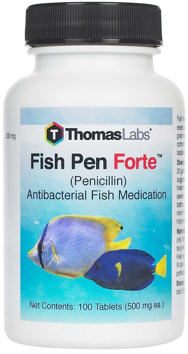 Fish Pen Forte Fish Antibiotic Thomas Labs Antibiotics Pet