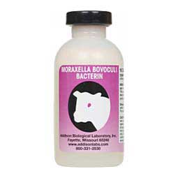 Moraxella Bovoculi Bacterin Pinkeye Vaccine for Cattle 10 dose - Item # 43876