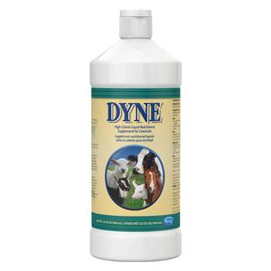 Dyne High Calorie Liquid Nutritional Supplement for Livestock 1 quart - Item # 44017