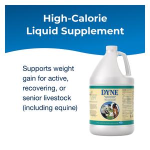 Dyne High Calorie Liquid Nutritional Supplement for Livestock 1 gallon - Item # 44018