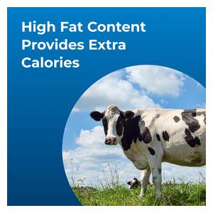 Dyne High Calorie Liquid Nutritional Supplement for Livestock 1 gallon - Item # 44018
