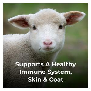 Dyne High Calorie Liquid Nutritional Supplement for Livestock 1 gallon - Item # 44018