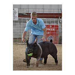 Sullivan's Heads Up 36" Pig Whip Lime Green - Item # 44040