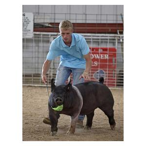 Sullivan's Heads Up 36-in Pig Whip Lime Green - Item # 44040