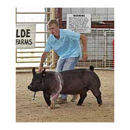 Sullivan's Head Trainer for Show Pigs Black - Item # 44041