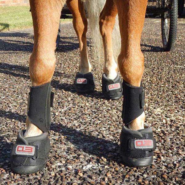 miniature horse boots sneakers