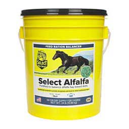 Select Alfalfa for Horses 24 (64-128 days) - Item # 44170